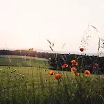 Dein Dornig *